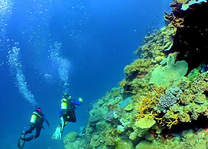 Guest house Ocean Breeze Rooms, Albufeira